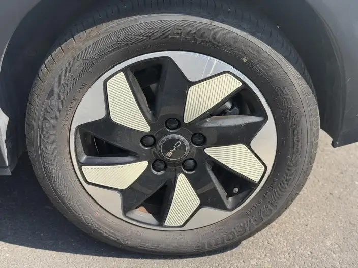 BYD Dolphin 2025 Model 420KM Free Edition – фото 8