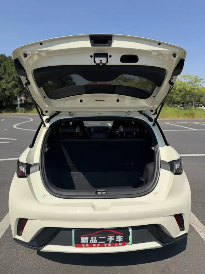 BYD Dolphin 2025 Model 420KM Free Edition – фото 10