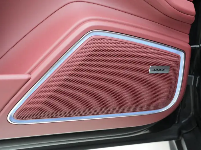 Panamera 2023 Model Facelift Panamera 2.9T Platinum edition – фото 9