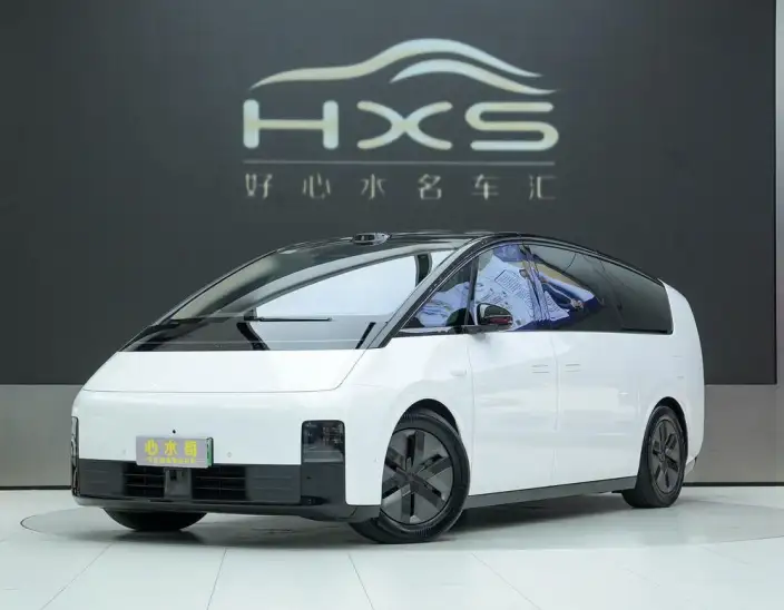 Li Auto MEGA 2025 Model Home Family Special Edition – фото 1