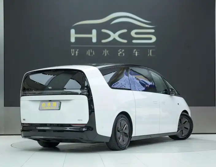 Li Auto MEGA 2025 Model Home Family Special Edition – фото 5