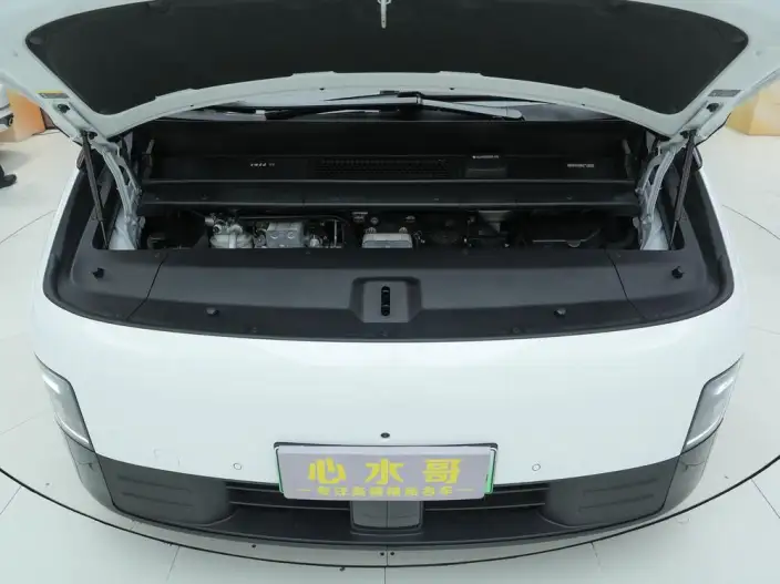 Li Auto MEGA 2025 Model Home Family Special Edition – фото 6