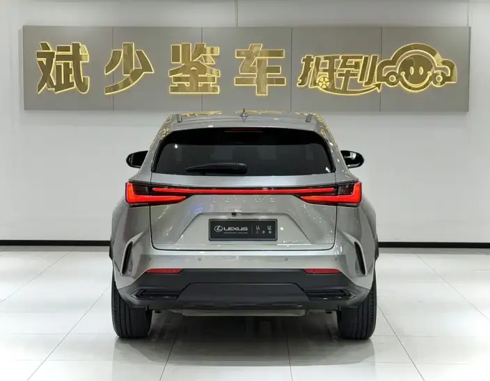 Lexus NX 2022 Model 260 Qian Drive Innovation Drive Edition – фото 5