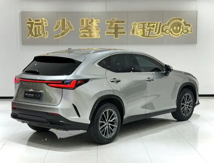 Lexus NX 2022 Model 260 Qian Drive Innovation Drive Edition – фото 6