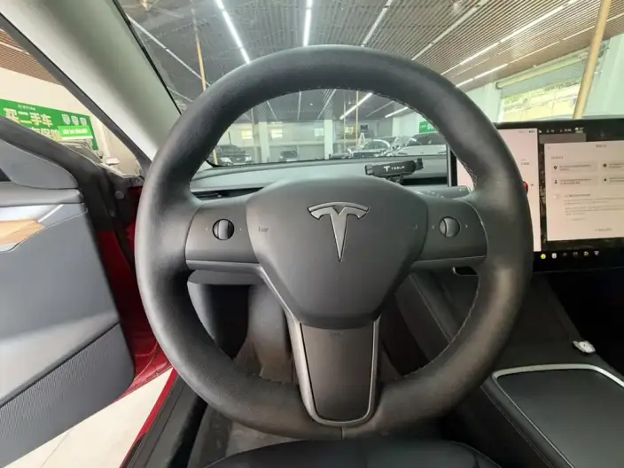 Model 3 2022 Model Rear-wheel drive version – фото 10