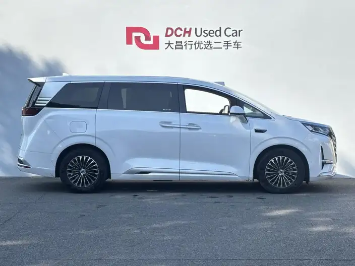 DENZA D9 DM 2025 Model Smart Driving Edition 1020 4WD Flagship Model – фото 5