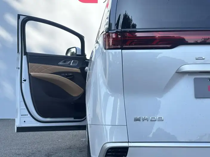 DENZA D9 DM 2025 Model Smart Driving Edition 1020 4WD Flagship Model – фото 8