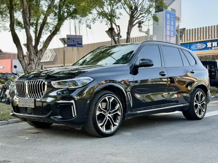 BMW X5 2022 Model Facelift xDrive 40Li Exclusive Model M Sports Set – фото 1