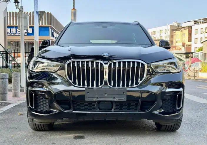 BMW X5 2022 Model Facelift xDrive 40Li Exclusive Model M Sports Set – фото 2