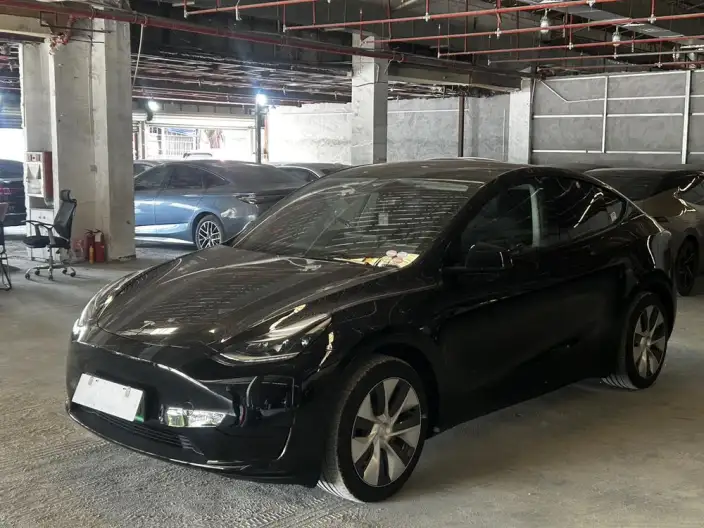 Model Y 2022 Model Facelift Rear-wheel drive version