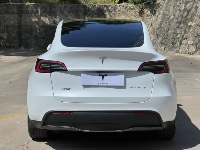 Model Y 2024 Model Long Battery Life Pro All-wheel drive version – фото 5