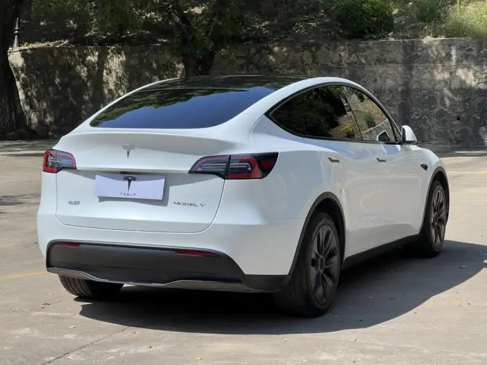 Model Y 2024 Model Long Battery Life Pro All-wheel drive version – фото 6