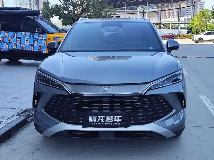 Song L DM 2025 Model Smart Driving Edition DM-i 112KM Leading Model