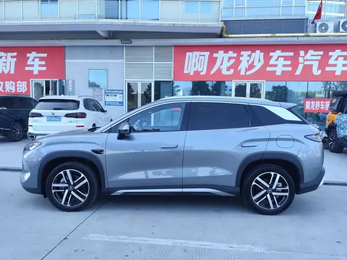 Song L DM 2025 Model Smart Driving Edition DM-i 112KM Leading Model