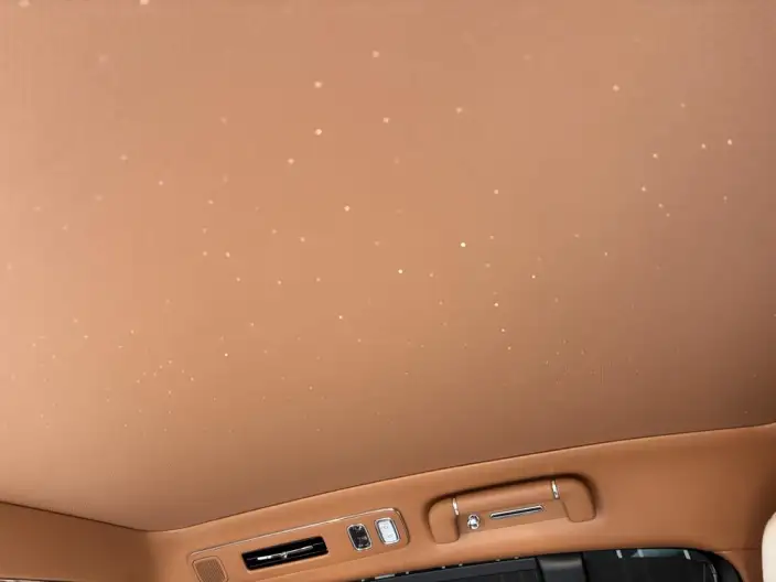 Zunjie S800 2025 Model Extended Range Star Edition Executive Edition 4 seat – фото 6