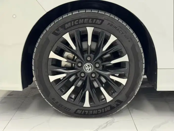 Elfa 2023 Model 2.5L Intelligent Hybrid 4WD Premium – фото 8