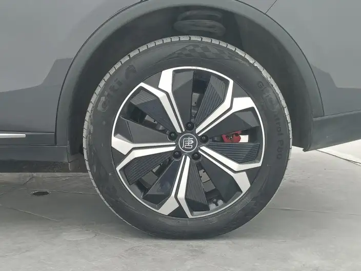 BYD Tang EV 2022 Model 730KM Exclusive Model – фото 9