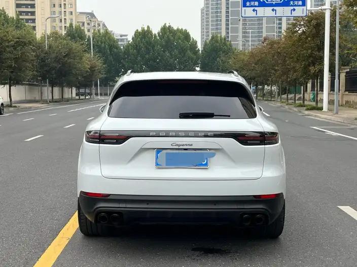 Cayenne 2023 Model Cayenne 3.0T Platinum edition – фото 6