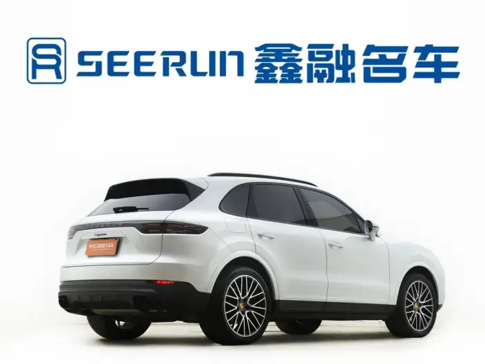 Cayenne 2023 Model Cayenne 3.0T Platinum edition – фото 7