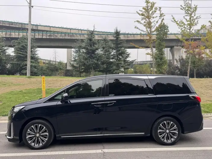 Buick GL8 2023 Model ES Luzun 2.0T Luxury Model