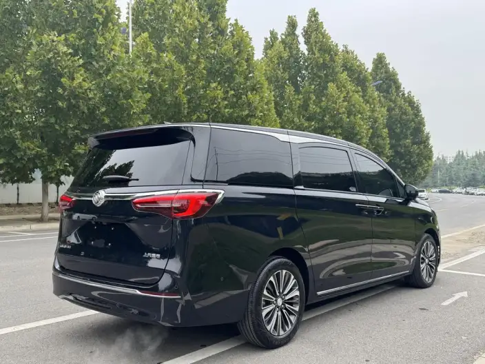 Buick GL8 2023 Model ES Luzun 2.0T Luxury Model – фото 7