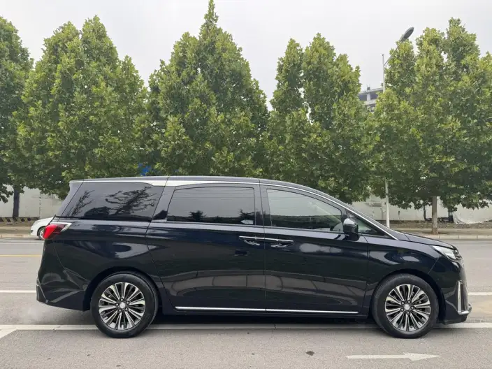 Buick GL8 2023 Model ES Luzun 2.0T Luxury Model – фото 8
