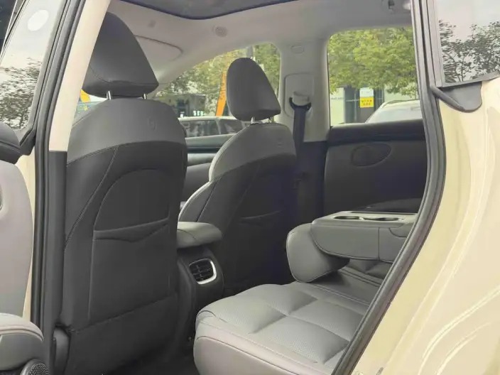 IM LS6 2023 Model Max Standard Edition – фото 9