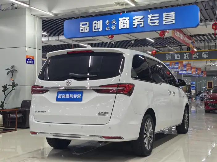 Buick GL8 2023 Model Business class 2.0T Luxury Model – фото 6