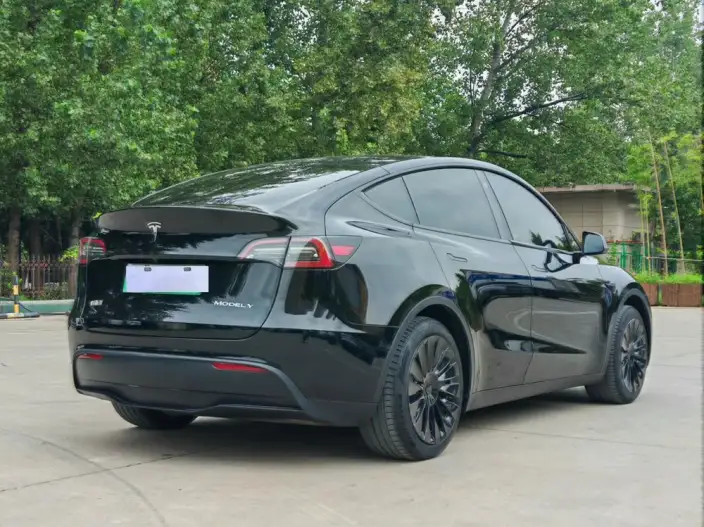 Model Y 2023 Model Long Battery Life Pro All-wheel drive version – фото 6