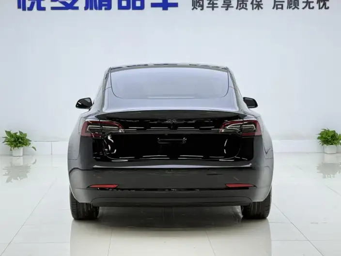 Model 3 2022 Model Rear-wheel drive version – фото 5