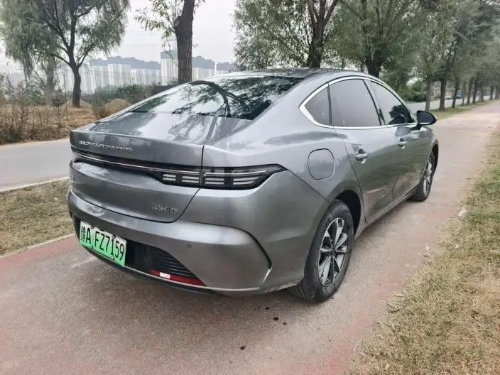 BYD Destroyer 05 2024 Model Honor Edition DM-i 55KM Luxury Model – фото 5