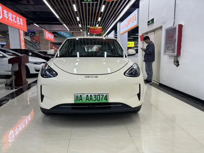 Geely Galaxy StarWish 2025 Model 310km Youth Edition