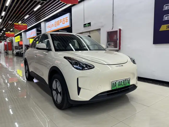 Geely Galaxy StarWish 2025 Model 310km Youth Edition