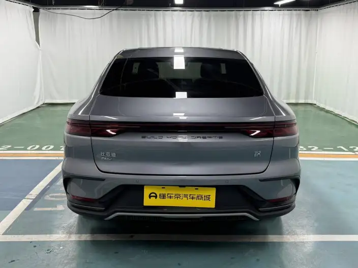 BYD Han DM 2022 Model DM-i 121KM Noble Model – фото 6