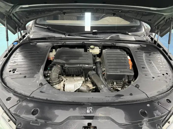 BYD Han DM 2022 Model DM-i 121KM Noble Model – фото 10