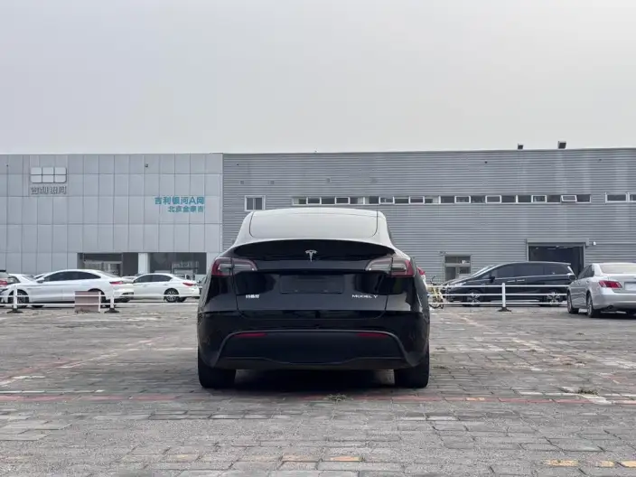 Model Y 2022 Model Rear-wheel drive version – фото 5