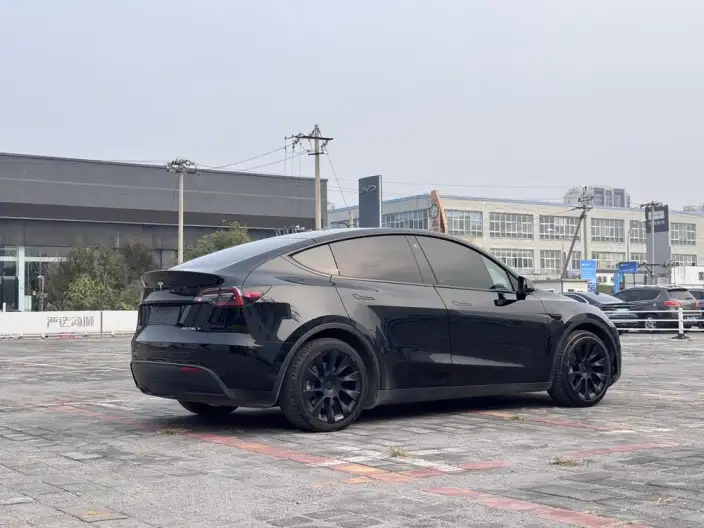 Model Y 2022 Model Rear-wheel drive version – фото 6