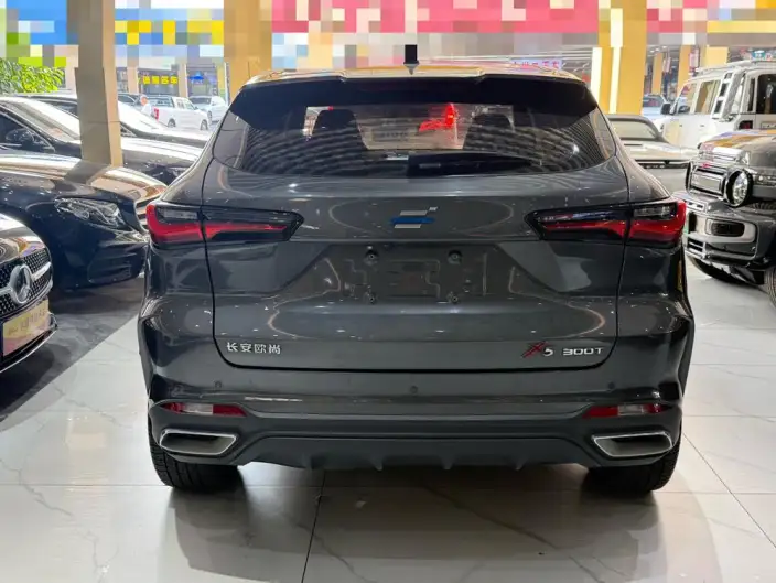 Changan Oshan X5 2022 Model 1.5T DCT Warrior Edition – фото 5