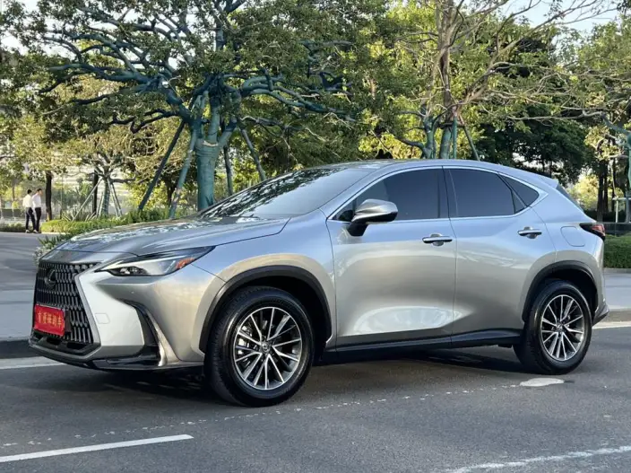 Lexus NX 2024 Model 260 Qian Drive Innovation Drive Edition – фото 1