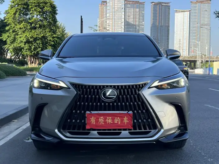 Lexus NX 2024 Model 260 Qian Drive Innovation Drive Edition – фото 2