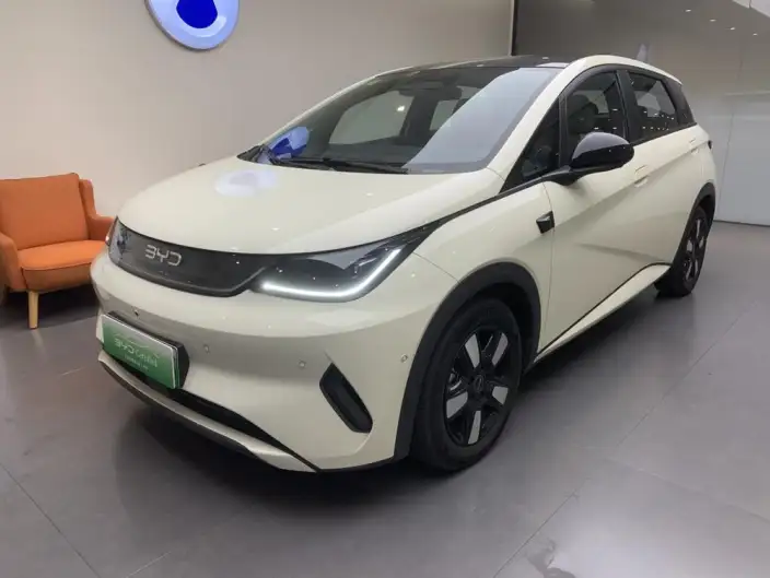 BYD Dolphin 2025 Model Smart Driving Edition 410KM Fashion Edition – фото 1