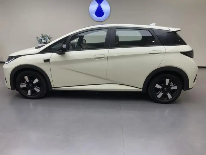 BYD Dolphin 2025 Model Smart Driving Edition 410KM Fashion Edition – фото 3