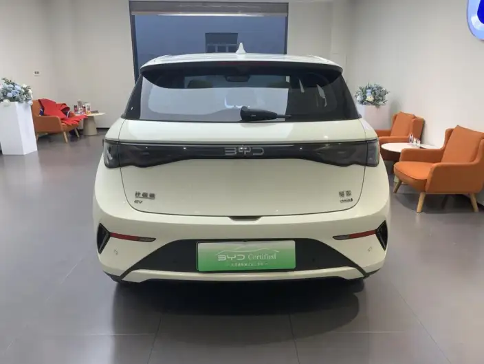 BYD Dolphin 2025 Model Smart Driving Edition 410KM Fashion Edition – фото 4