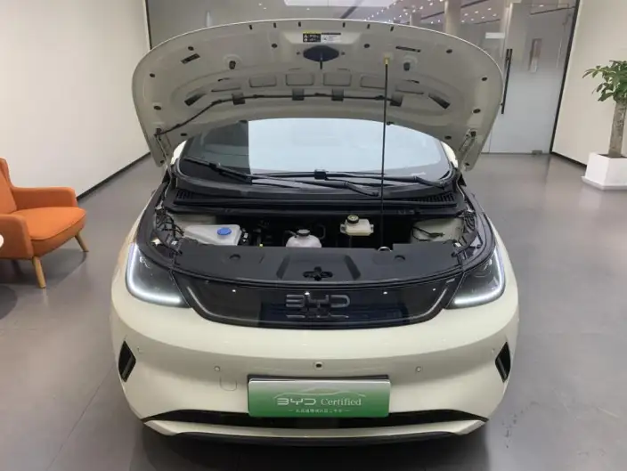 BYD Dolphin 2025 Model Smart Driving Edition 410KM Fashion Edition – фото 8