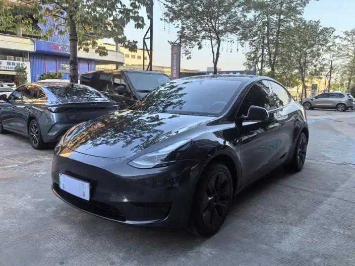 Model Y 2024 Model Rear-wheel drive version – фото 1