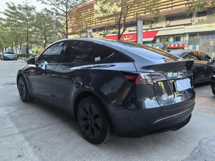 Model Y 2024 Model Rear-wheel drive version – фото 5