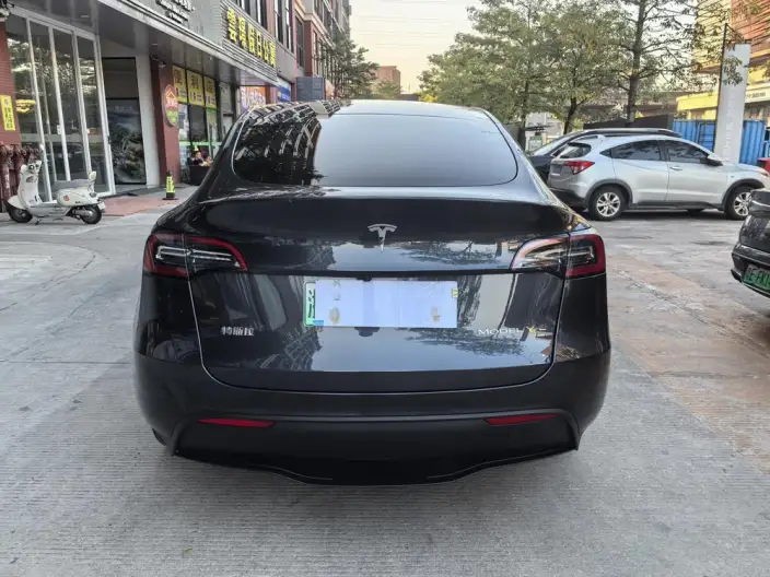 Model Y 2024 Model Rear-wheel drive version – фото 6