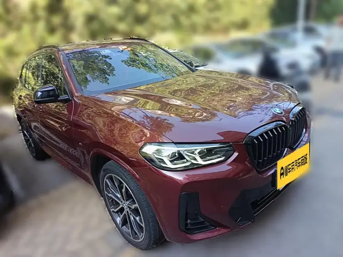 BMW X3 2022 Model xDrive30i Leading Model M Night Set – фото 3