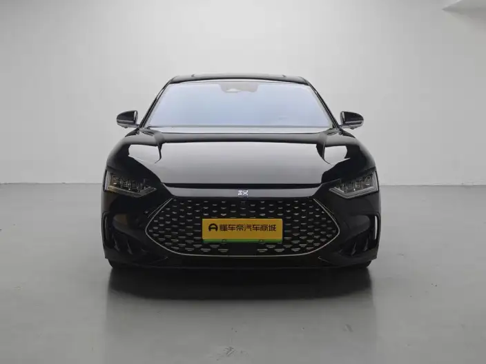 BYD Han DM 2023 Model DM-i Champion Edition 121KM Noble Model – фото 2
