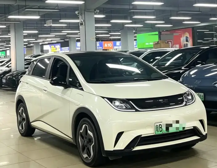 BYD Dolphin 2021 Model Fashion Edition – фото 2